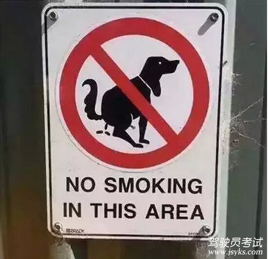 禁止吸烟的文字配上狗大便的图片,到底是谁脑残?