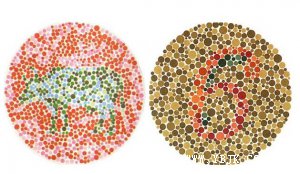 4张色盲检测图，若认出少于2张，说明是驾考绝缘体!