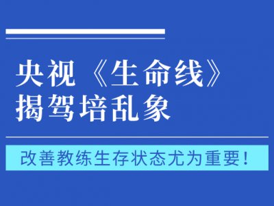 央视揭驾培乱象:改善教练员生存状态,提升教练员职业地位尤为重要