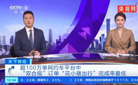 平台双证订单完成率仅占16.1%,“花小猪”被交通运输部点名!