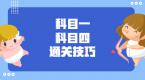 科目一科目四最容易混淆的标线题,考前必须弄清楚,不然有麻烦!