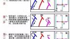 科三重难点突破,资深教练私藏干货,学会考试通过率90%以上