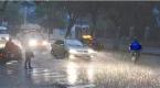 交警:暴雨天开双闪灯的人,根本就不懂开车!