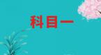 科目一最高效的记忆方法,看完直接考试没问题!