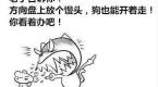 生平感觉自己最笨的时候——就是走进驾校的那段日子!