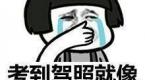 驾校教练都爱骂人?大家来说一说,你们都遇到过哪些奇葩教练