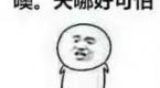 学车是一件能引起全球共鸣的事儿