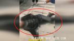 大叔科目三没过满地打滚,崩溃痛哭,大喊:我不想考了