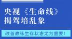央视揭驾培乱象:改善教练员生存状态,提升教练员职业地位尤为重要