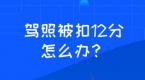 【元贝学堂】驾驶证被记满12分怎么办?