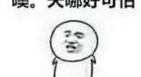 学车是一件能引起全球共鸣的事儿