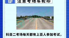 科目二这4个作弊技巧你知道吗？考官看到根本不管！