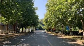 建议收藏:科一、科二、科三、科四速记口诀,一看就会!